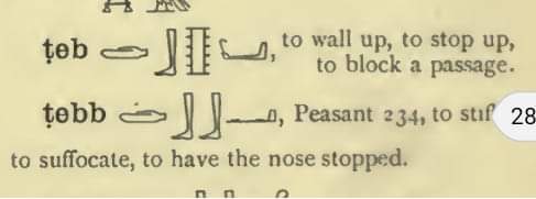 Ⲧⲉ̄ⲡ
