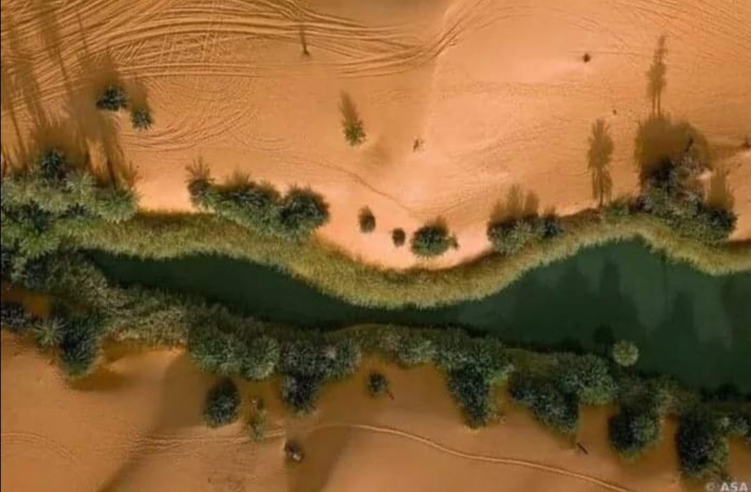 Screenshot_20201203_165135