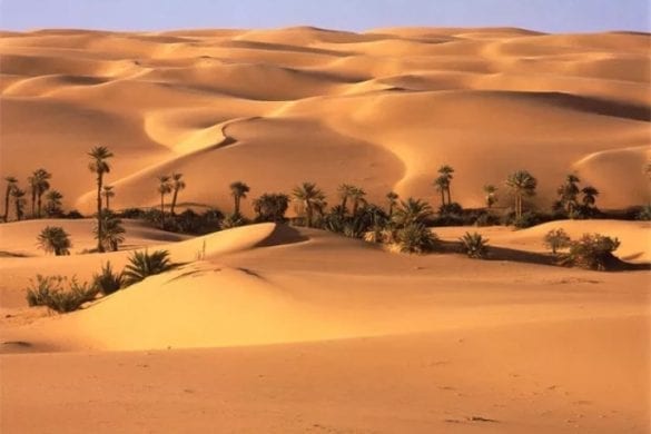 وادي هور – مجلة السودان | Sudan Journal